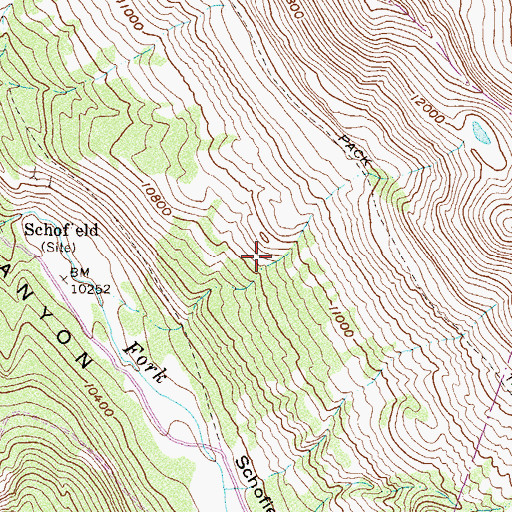 Topographic Map of Schofield, CO
