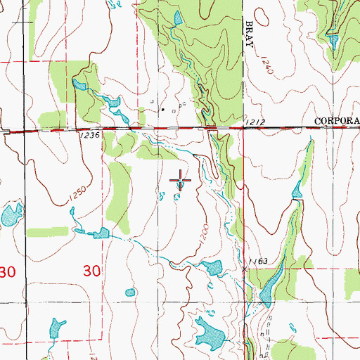 Topographic Map of Oknoname 137024 Dam, OK