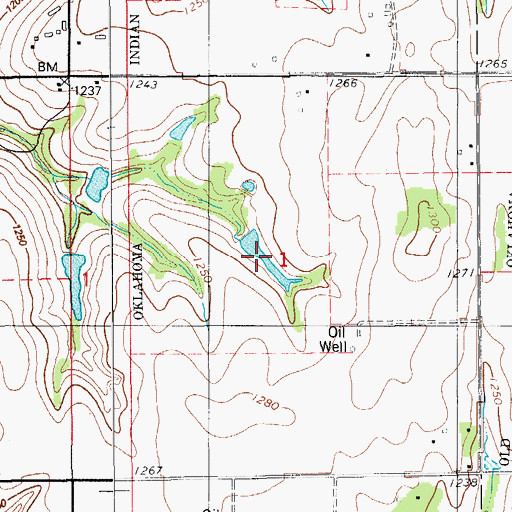 Topographic Map of Oknoname 137043 Dam, OK