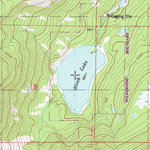 Topographic Map of Black Lake, CO