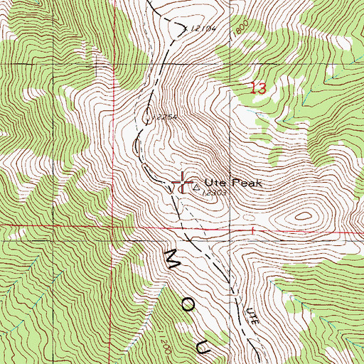 Topographic Map of Ute Peak, CO