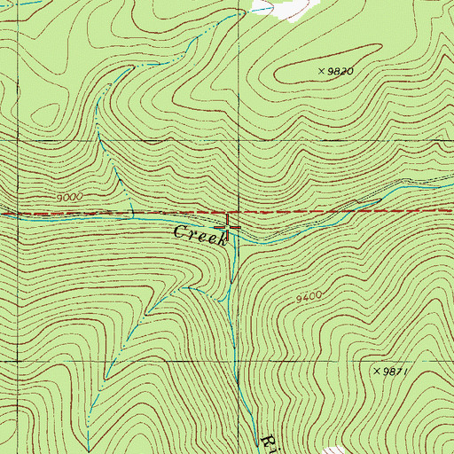 Topographic Map of Richey Creek, CO