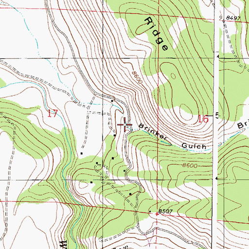 Topographic Map of Brinker Gulch, CO