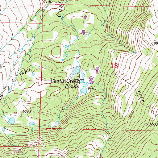 Topographic Map of Castle Creek Ponds, CO