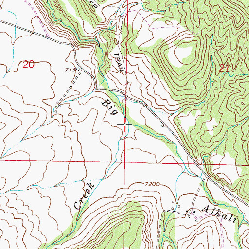 Topographic Map of Castle Creek, CO