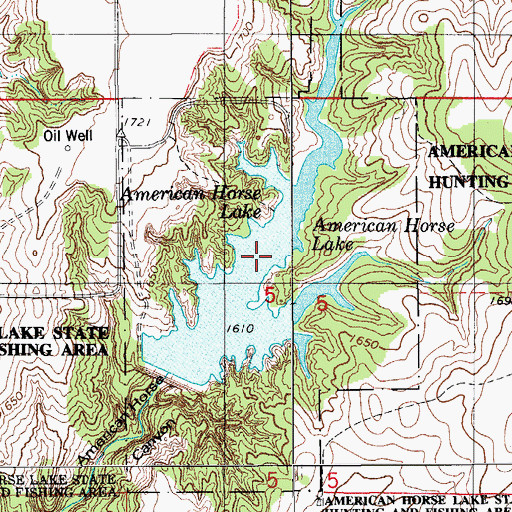 Topographic Map of American Horse Lake, OK