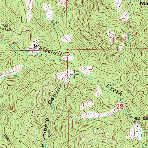 Topographic Map of Blumberg Canyon, AZ