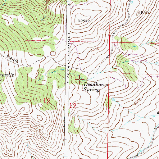 Topographic Map of Deadhorse Spring, CO