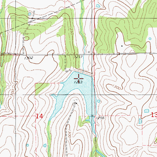 Topographic Map of Rush Creek Site 4 Reservoir, OK