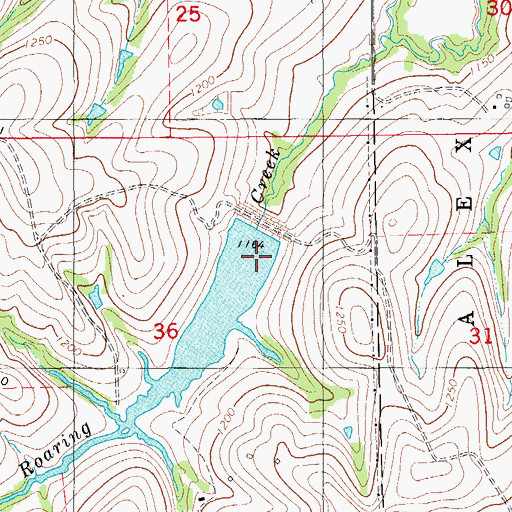 Topographic Map of Roaring Creek Site 9 Dam, OK