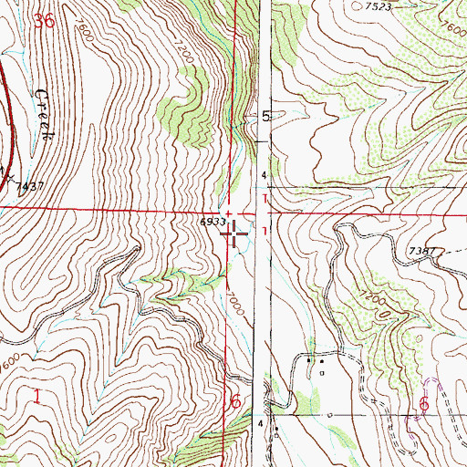 Topographic Map of Castle Creek, CO