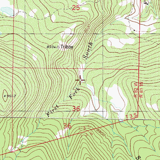 Topographic Map of First Fork South Fork Piney River, CO