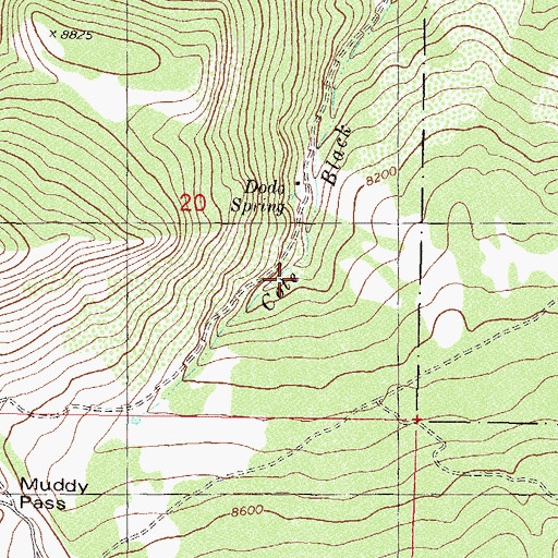 Topographic Map of Dodo Spring, CO