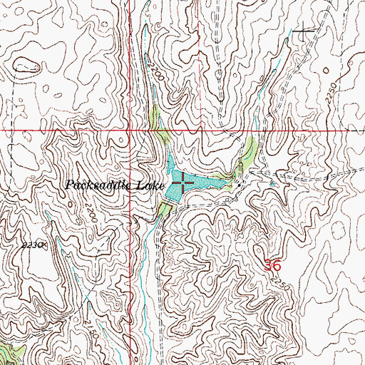 Topographic Map of Packsaddle Lake, OK