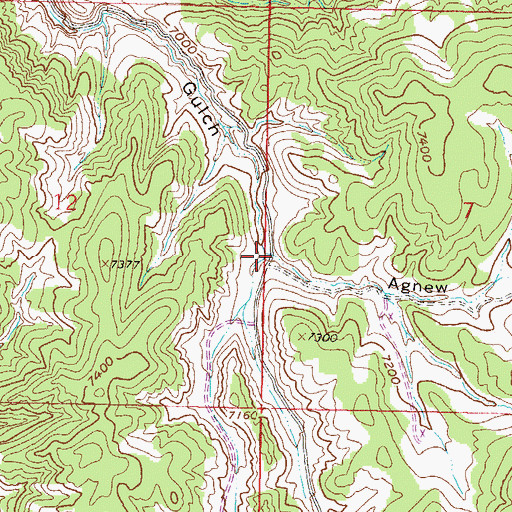 Topographic Map of Agnew Gulch, CO