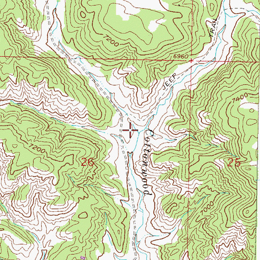 Topographic Map of West Fork Cottonwood Creek, CO