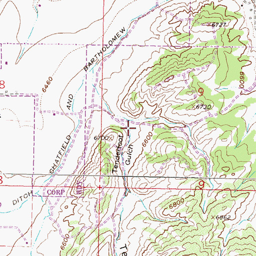 Topographic Map of Tenderfoot Gulch, CO
