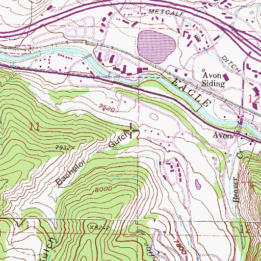 Topographic Map of Bachelor Gulch, CO