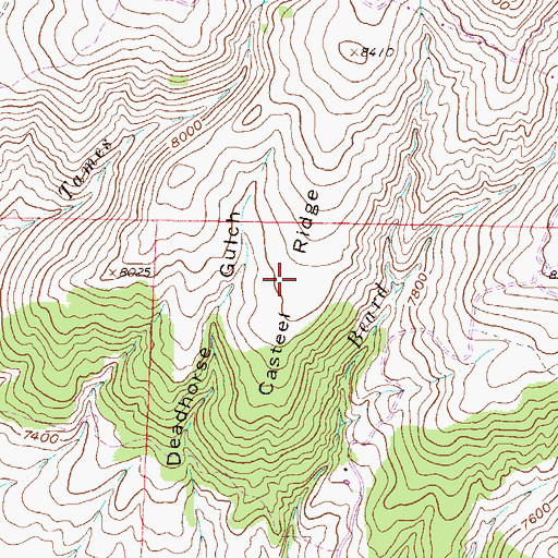Topographic Map of Casteel Ridge, CO