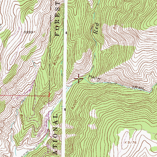 Topographic Map of East Fork Red Canyon Creek, CO