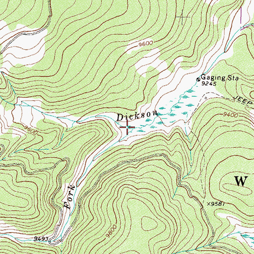 Topographic Map of South Fork Dickson Creek, CO