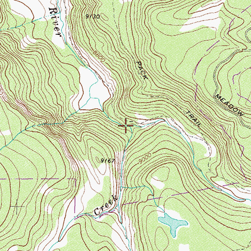 Topographic Map of Dickson Creek, CO
