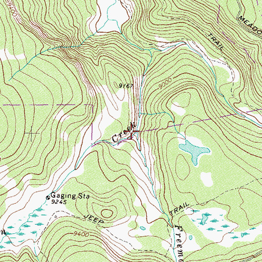 Topographic Map of Freeman Creek, CO