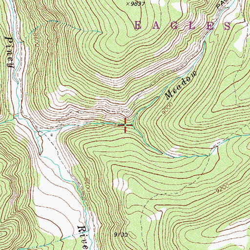 Topographic Map of East Meadow Creek, CO
