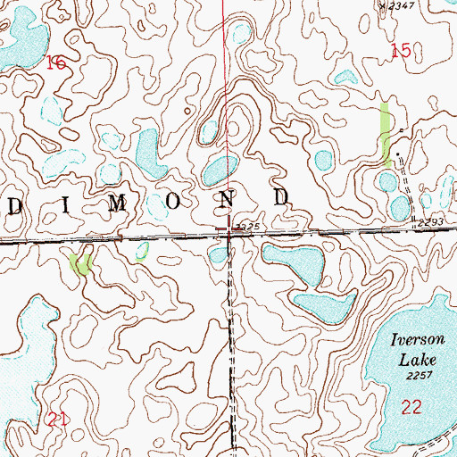 Topographic Map of Township of Dimond, ND