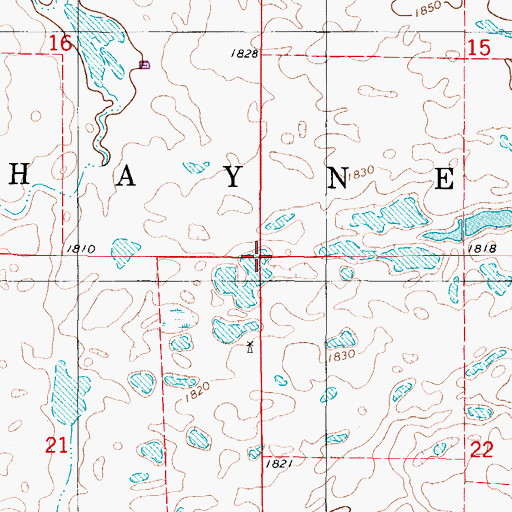 Topographic Map of Township of Haynes, ND