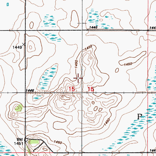 Topographic Map of Township of Pelican, ND