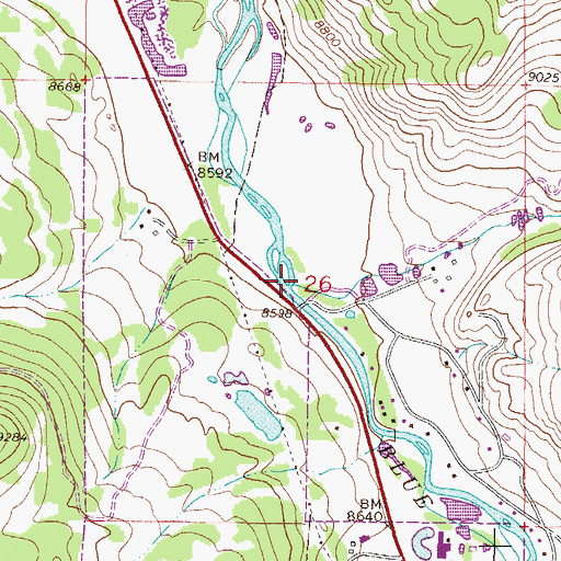 Topographic Map of Bushee Creek, CO