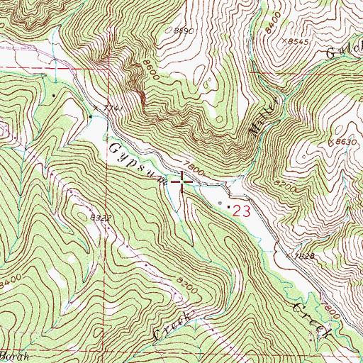 Topographic Map of Miller Gulch Creek, CO