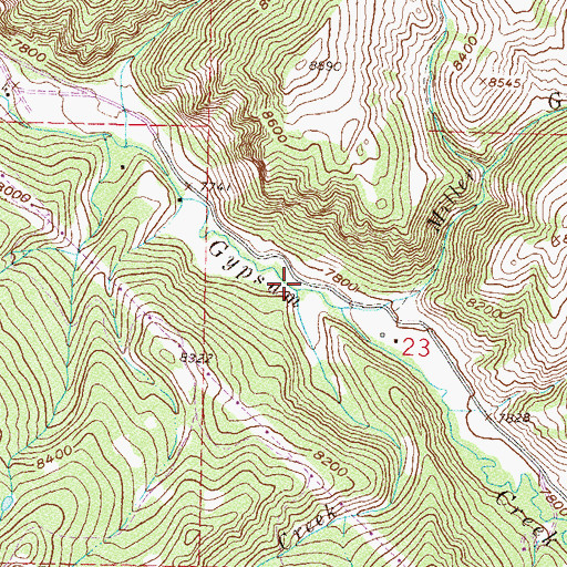 Topographic Map of Erickson Creek, CO