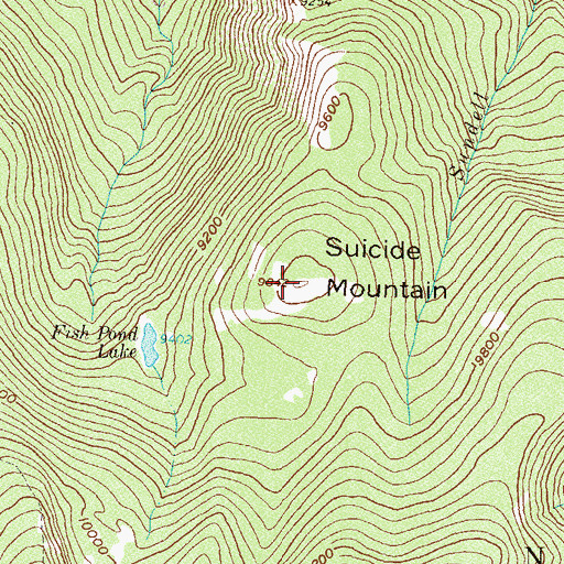 Topographic Map of Suicide Mountain, CO