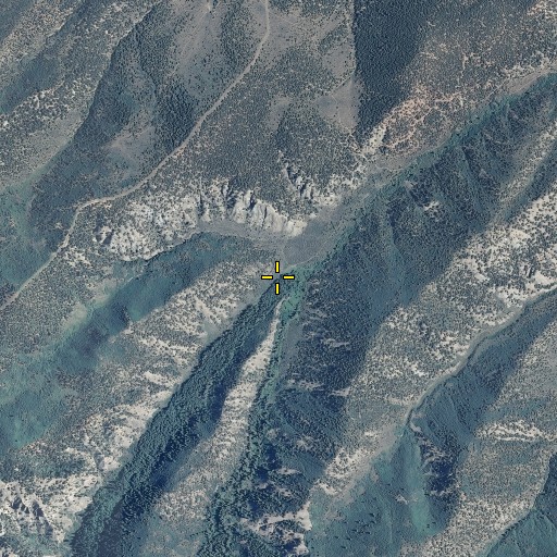 Aerial/Satellite Image of West Fork Old Mans Gulch, CO