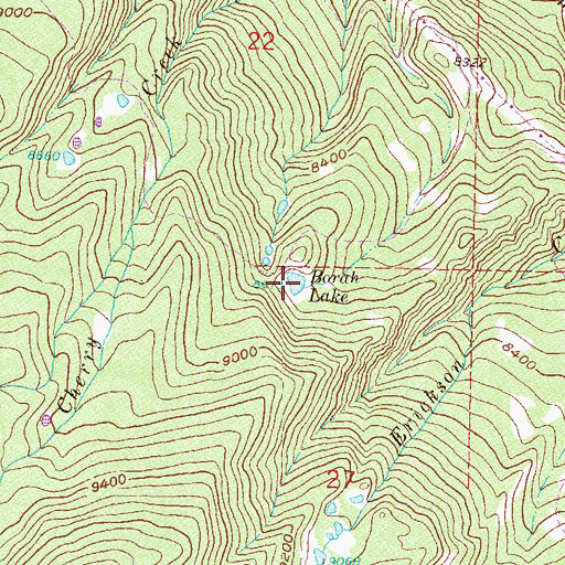 Topographic Map of Borah Lake, CO