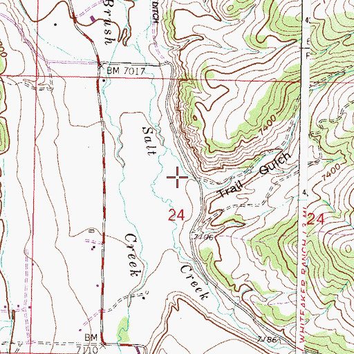 Topographic Map of Trail Gulch, CO