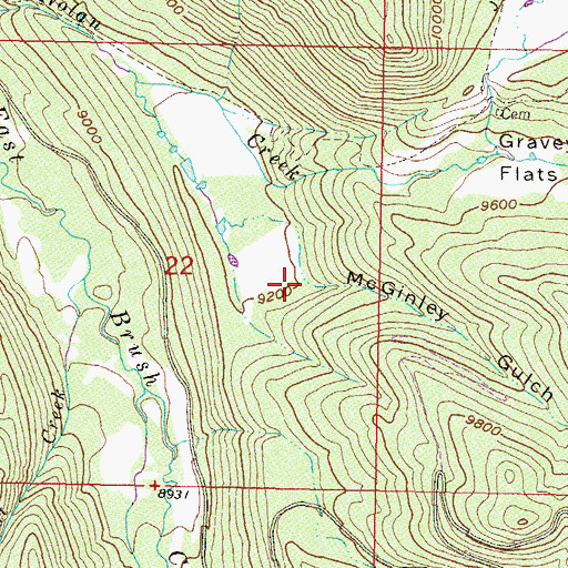 Topographic Map of McGinley Gulch, CO