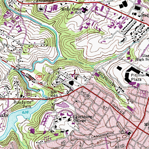 Topographic Map of Laurel Regional Program, VA