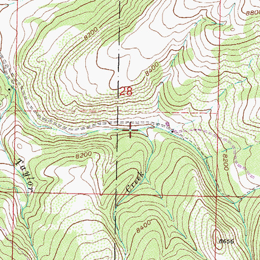 Topographic Map of Kelly Creek, CO