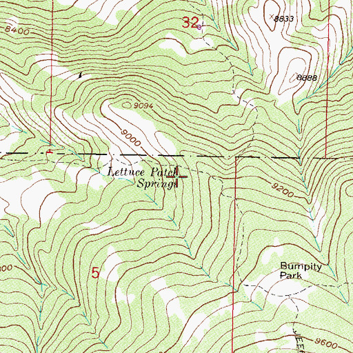 Topographic Map of Lettuce Patch Springs, CO