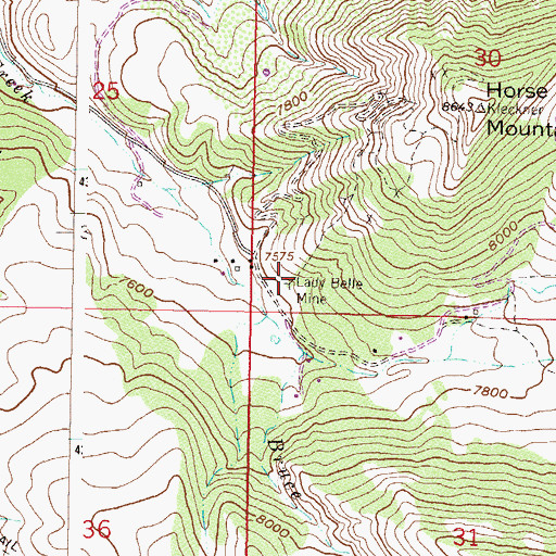 Topographic Map of Lady Belle Mine, CO