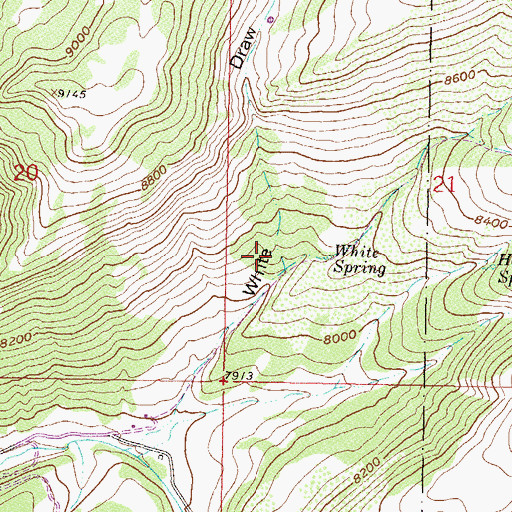 Topographic Map of White Spring, CO