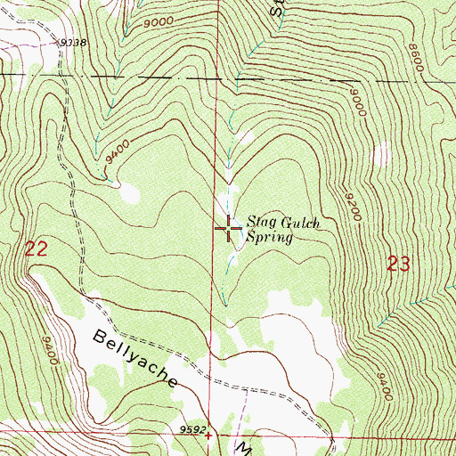 Topographic Map of Stag Gulch Spring, CO