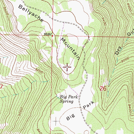 Topographic Map of Bellyache Mountain, CO