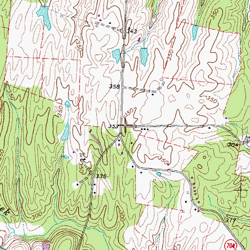 Topographic Map of Bushy Acres, VA