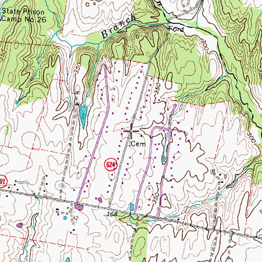 Topographic Map of Hickory Grove Acres, VA