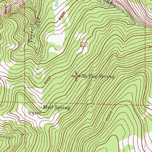 Topographic Map of McCoy Spring, CO