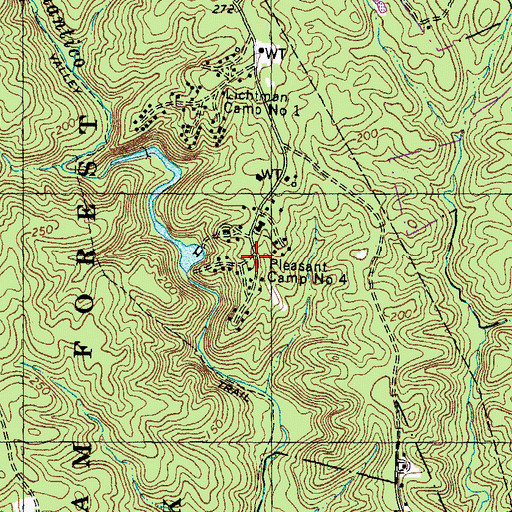 Topographic Map of Pleasant Historic District, VA